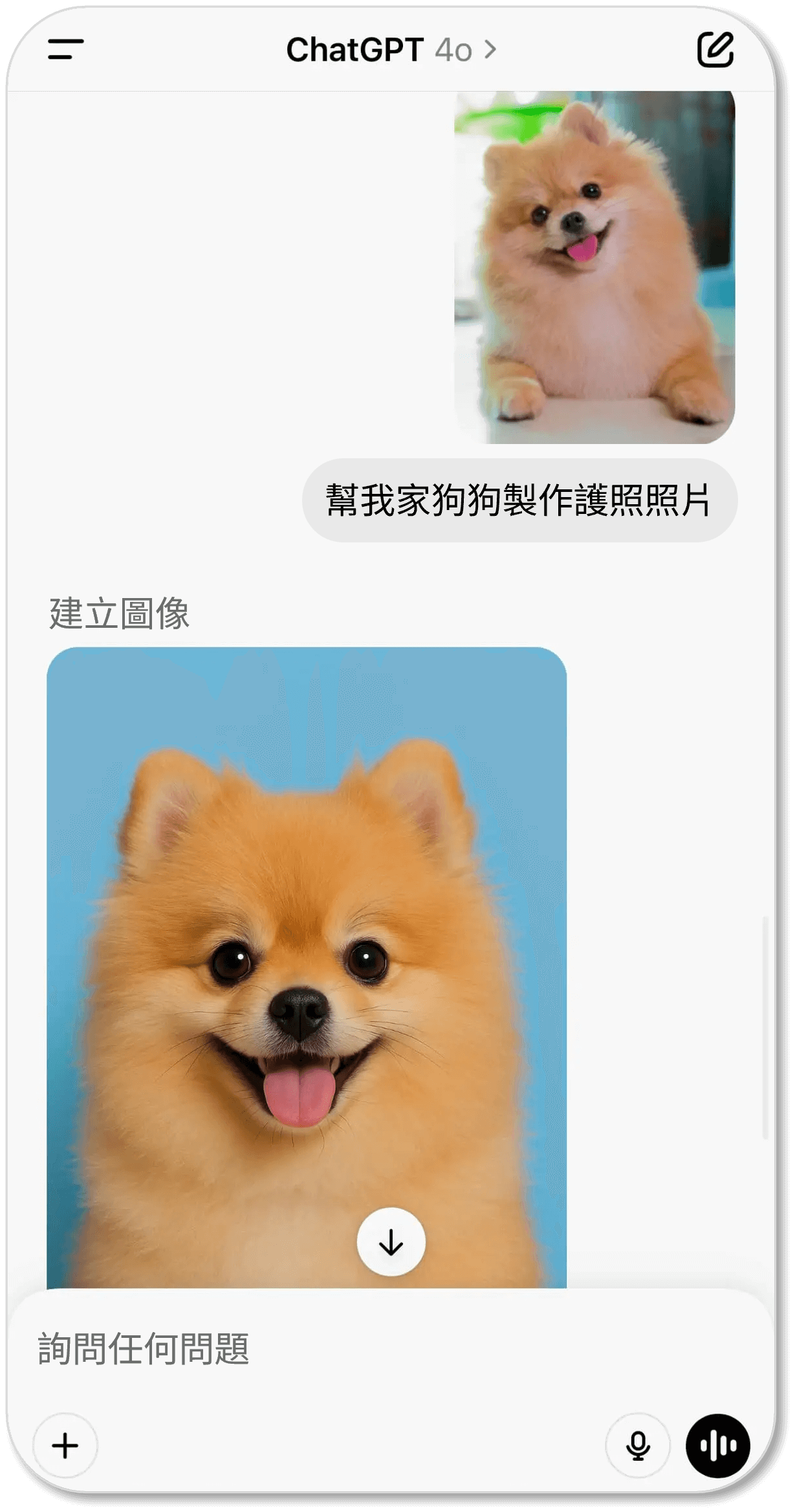 如何用ChatGPT製作寵物護照