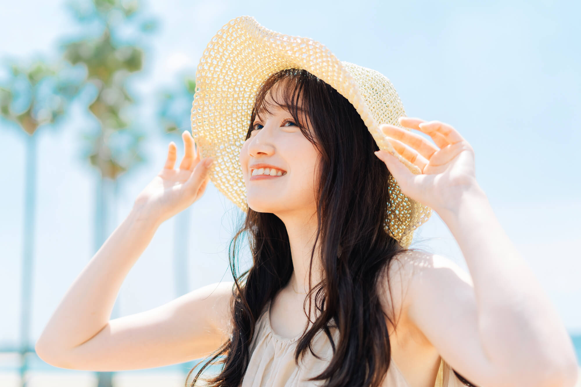 ライトサマーのイメージ