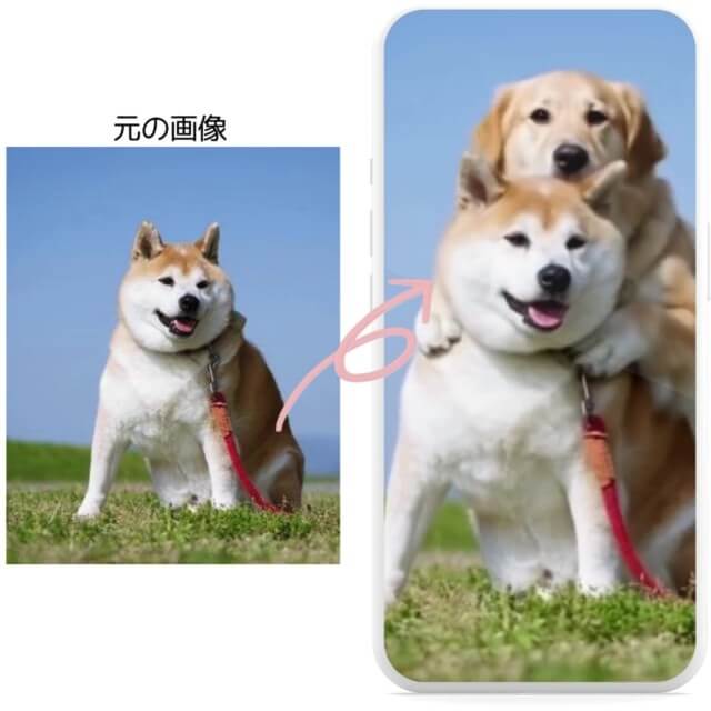 犬をハグするのは誰！？