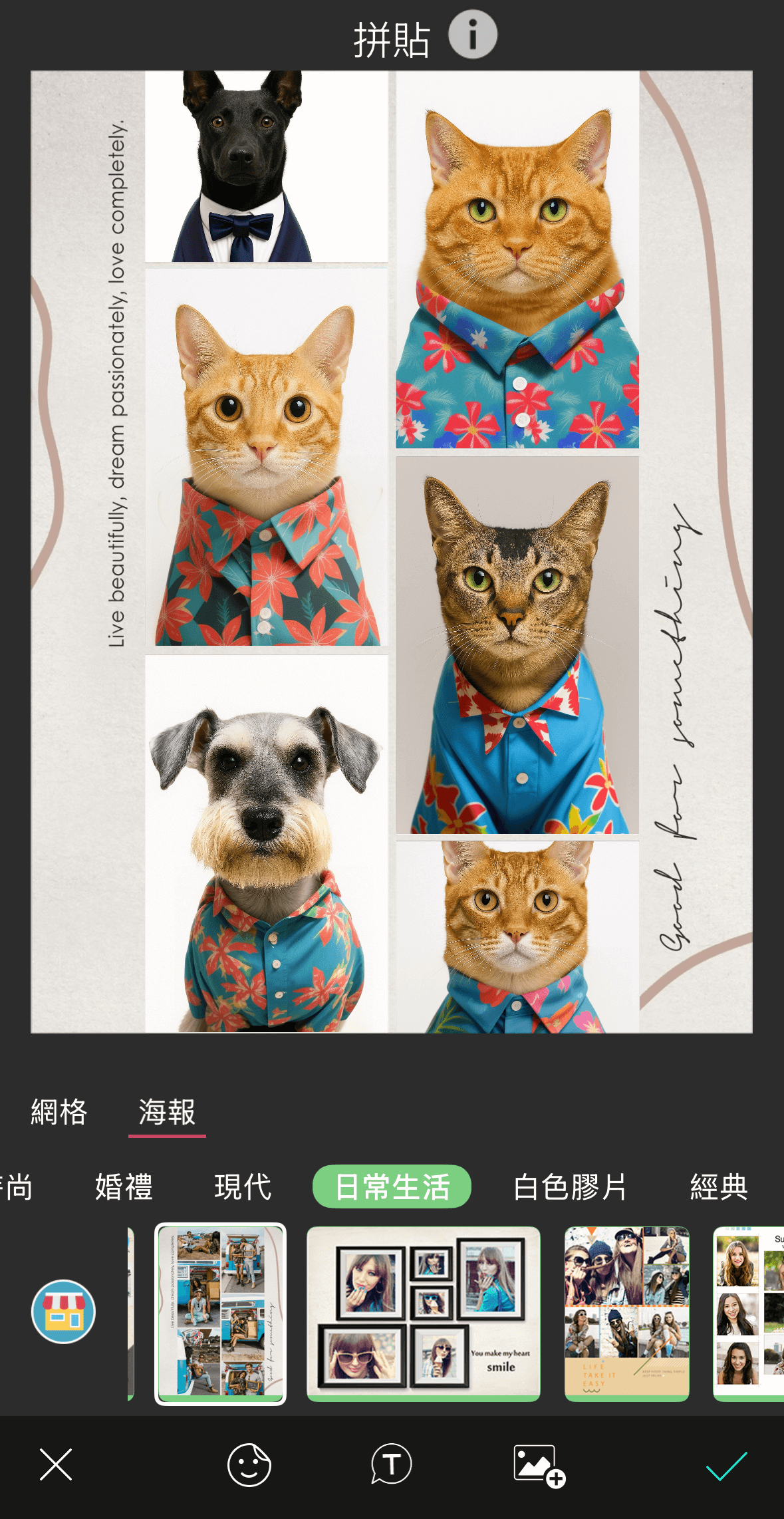 寵物九宮格桌布-寵物證件照-寵物身分證