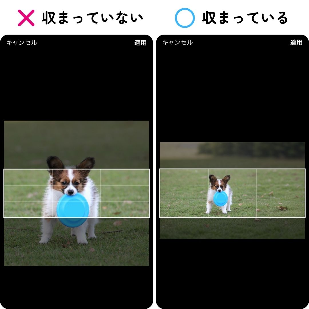 ヘッダーに収まらない画像の例