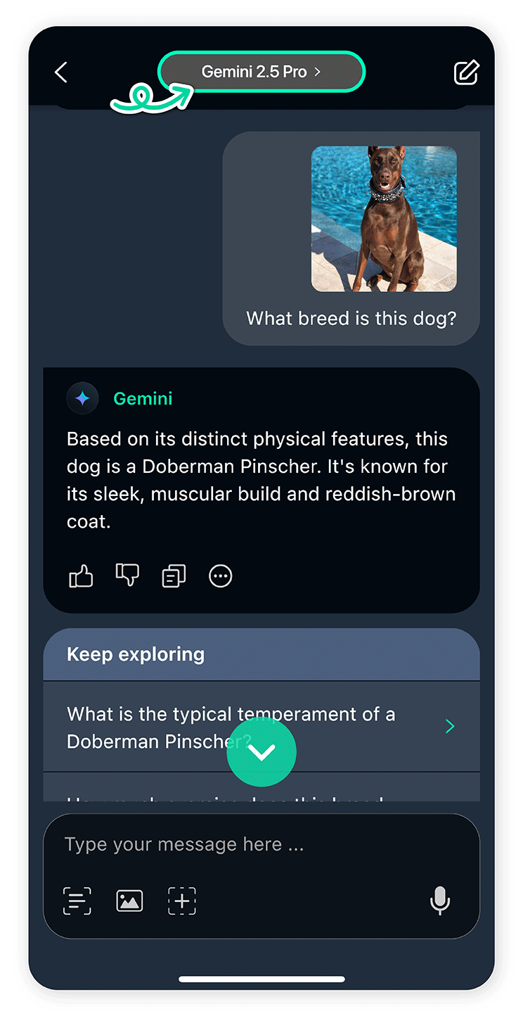 Find out what breed a dog is with YouCam AI Chat.