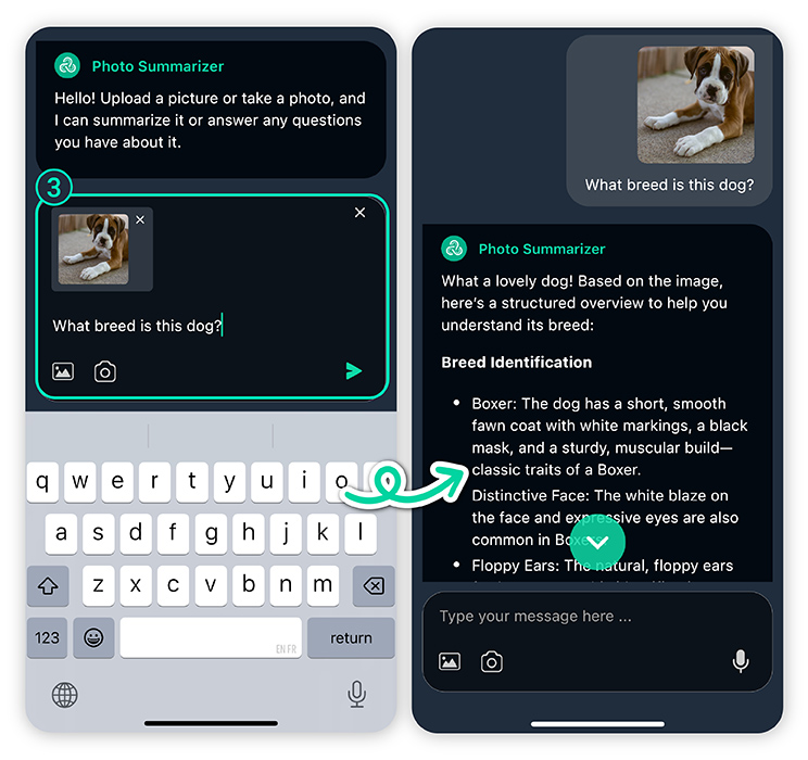 Find out a dog's breed in seconds with the best dog identifier app.