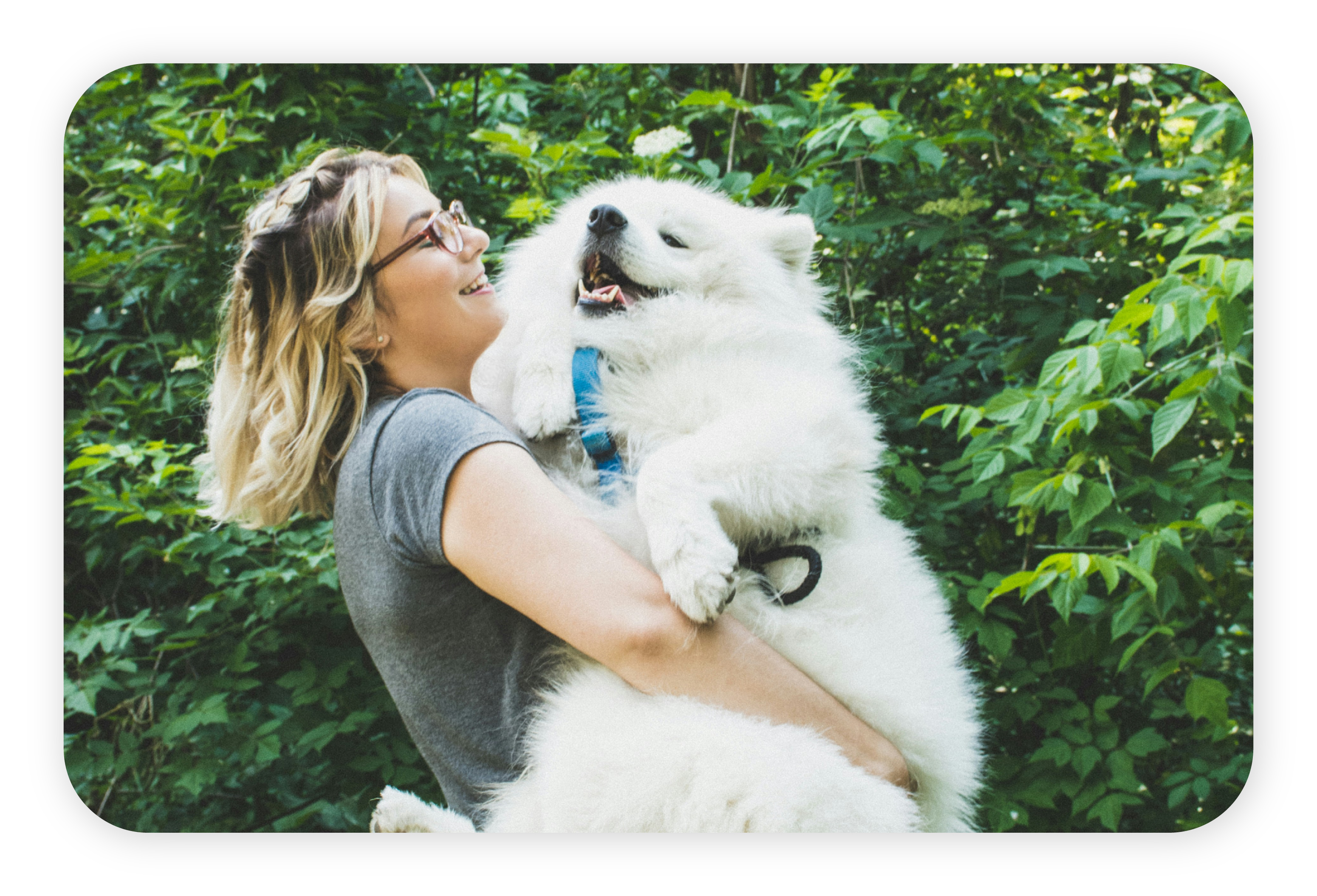 Identify dog's breed and get more information about it with dog identifier app.
