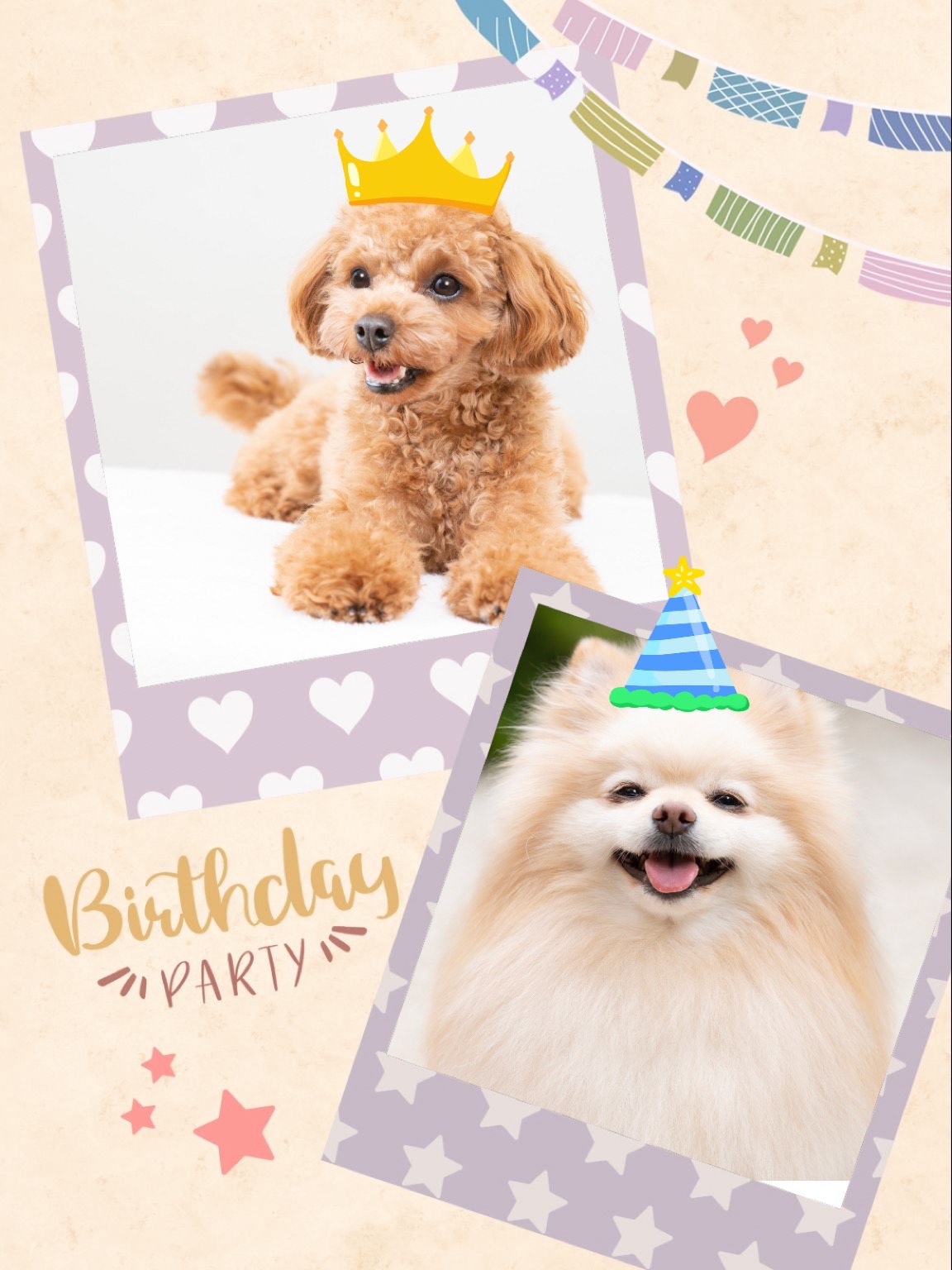 犬写真を加工するイメージ