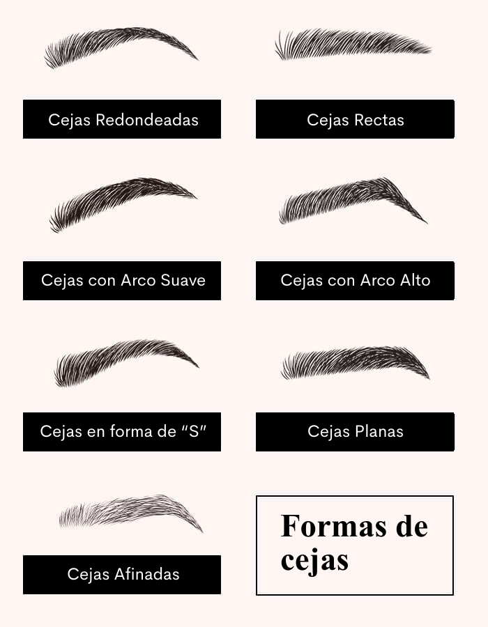 Ilustración de diferentes tipos de cejas: redondeadas, rectas, con arco suave, con arco alto, en forma de S, planas y afinadas.