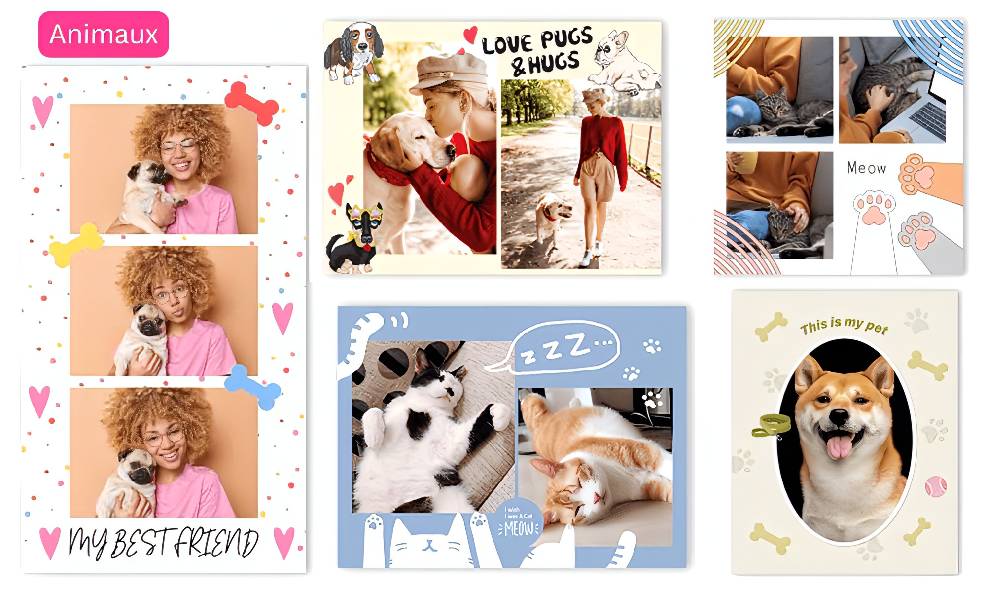 Collage Photo Animaux