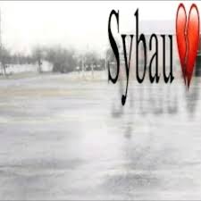 SYBAU Background