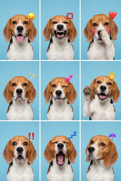 絵文字をつけてポップな証明写真に