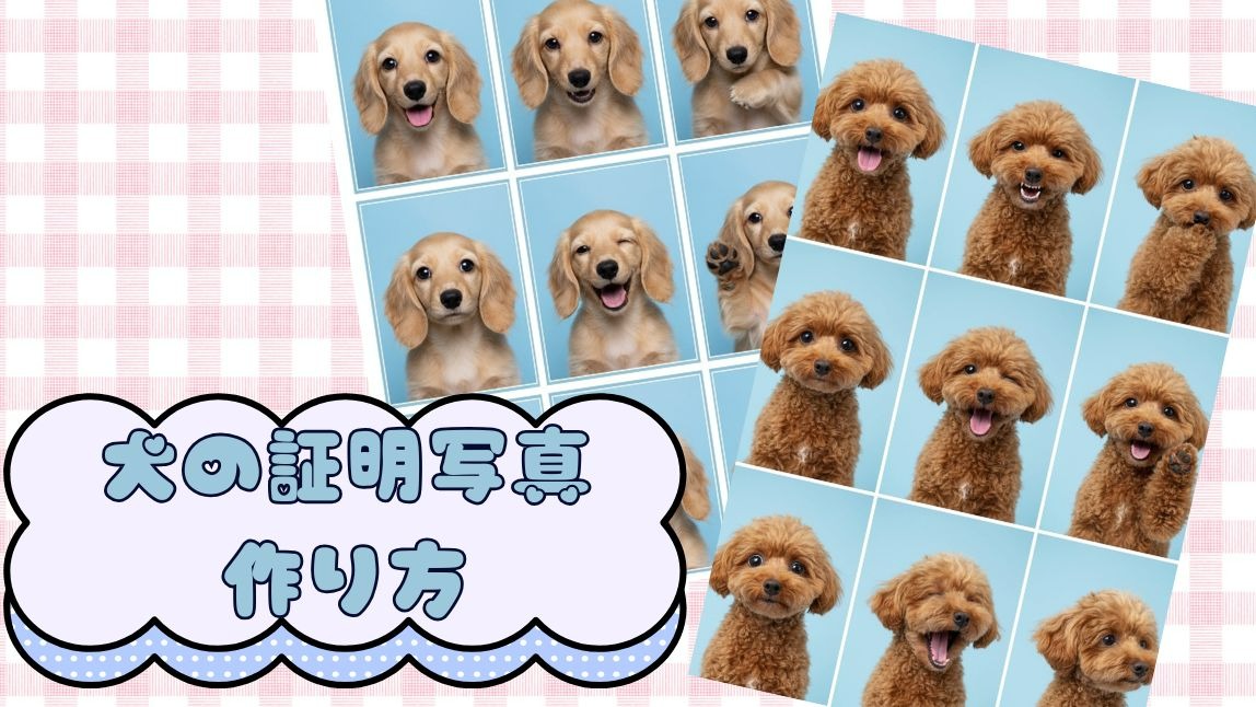 犬の証明写真の作り方