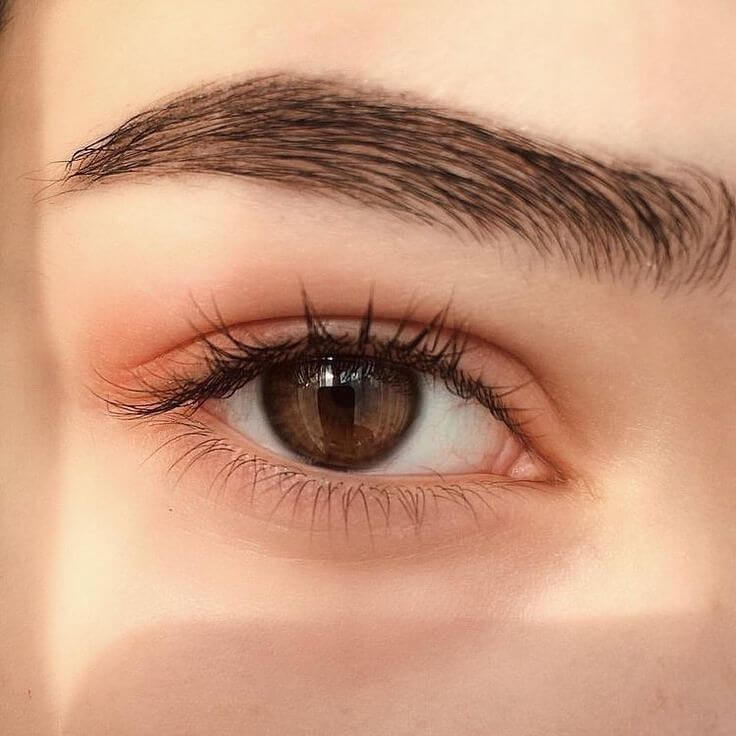 S-Shaped (Curved) Eyebrows