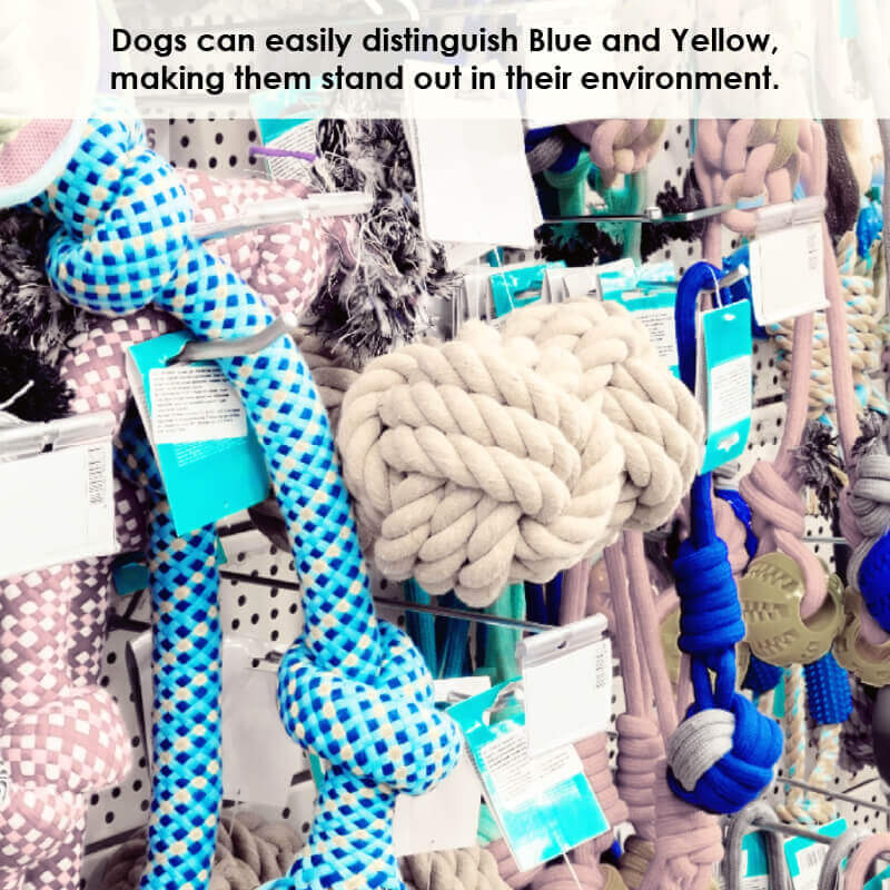 Dog Vision Filter: How Dogs See Colors Dog Vision Filter: How Dogs See Colors