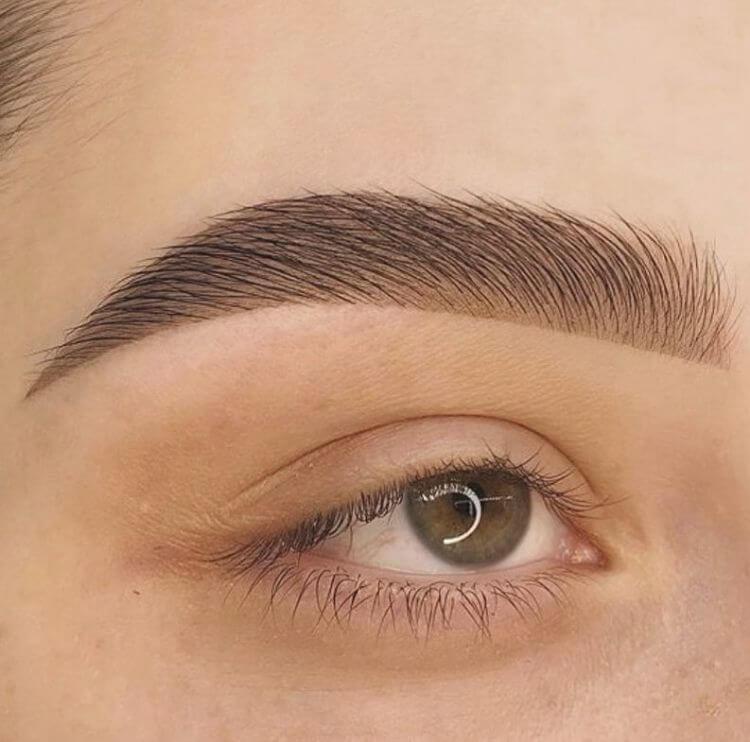 Tapered Eyebrows