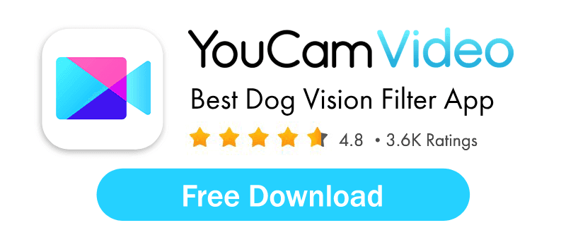 Best Dog Vision Filter App Best Dog Vision Filter App