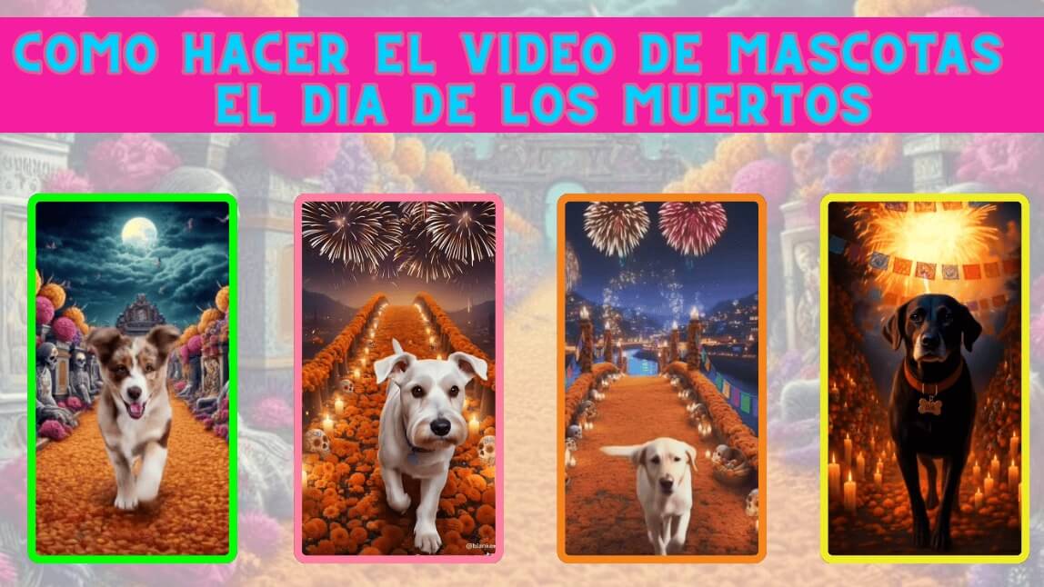 hacer el video de mascotas el Dia de los Muertos