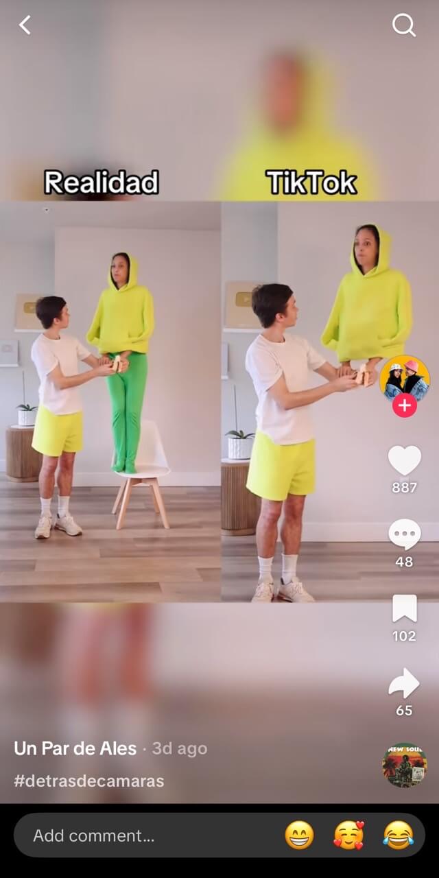 bird trend tutorial