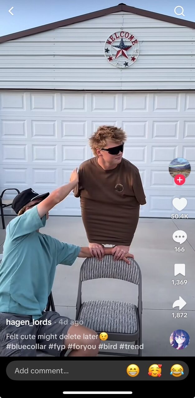 bird trend on TikTok