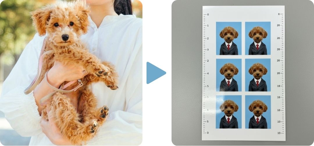 ペットの写真を証明写真に