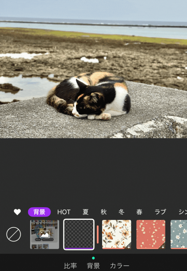 背景透過GIF