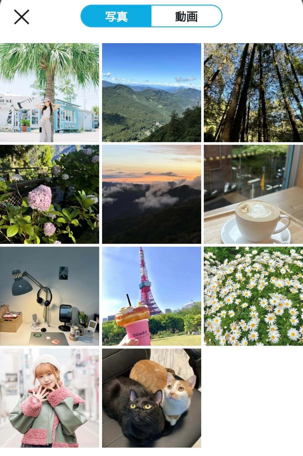 写真を選ぶ様子