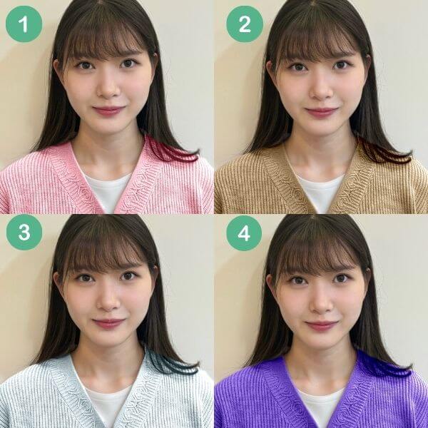 写真で似合う服の色をチェック