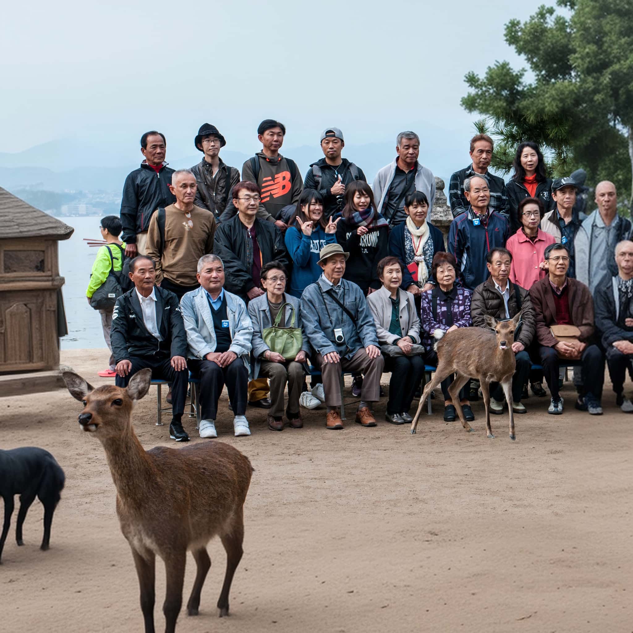 AIで拡張した集合写真