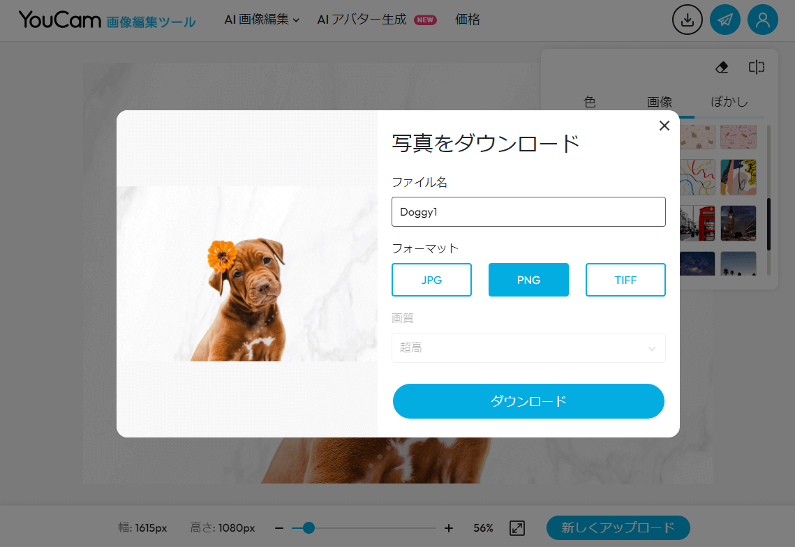 オンラインステップ5