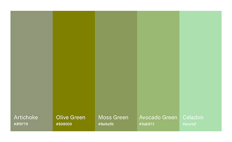 What Colors Are Similar to Sage Green