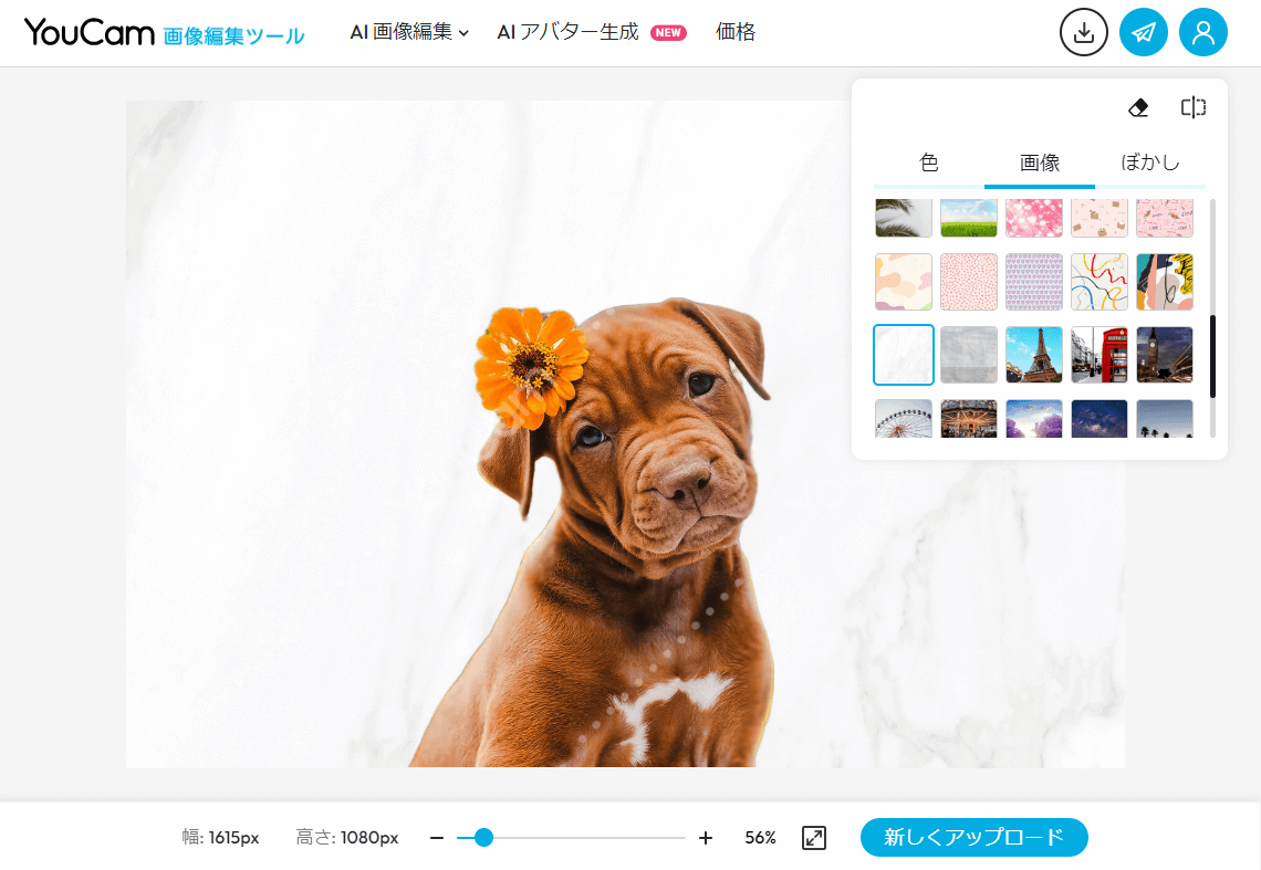 オンラインステップ4