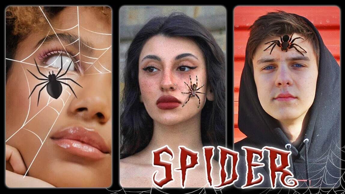 Filtro de araña en la cara