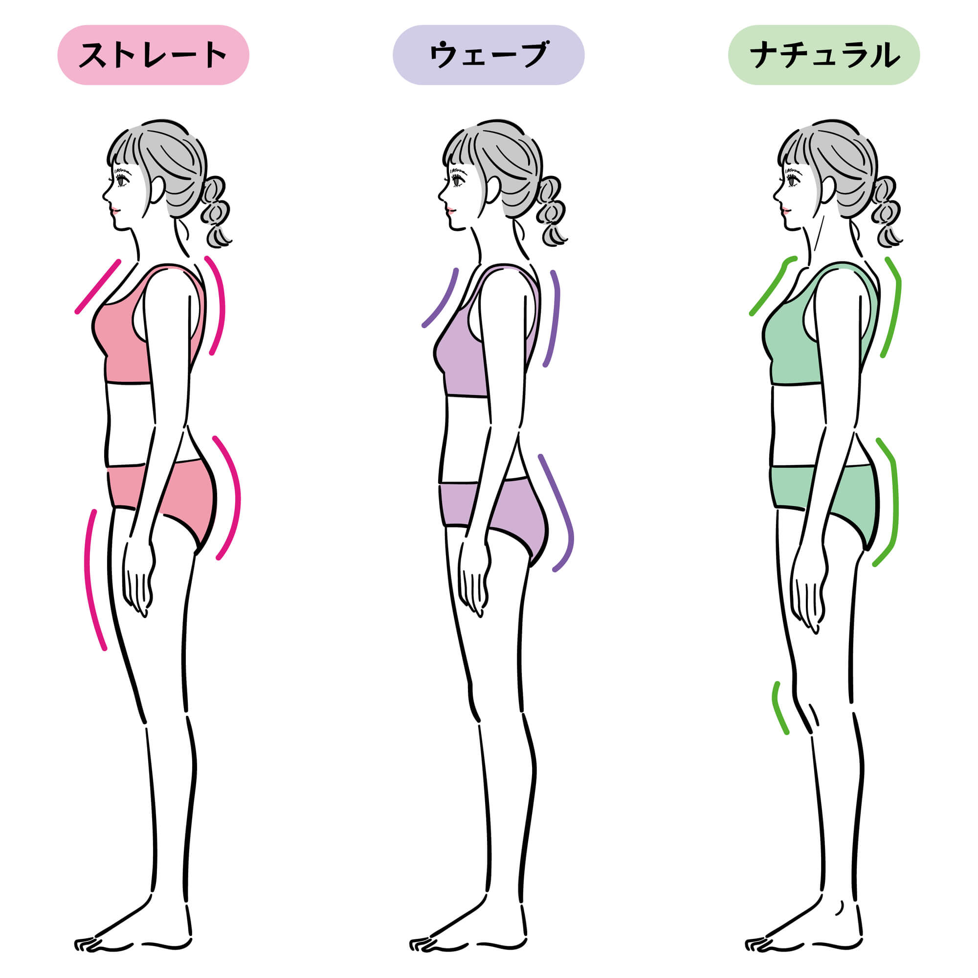 骨格タイプのイメージ 骨格タイプのイメージ