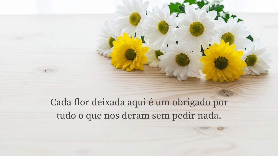 Imagem para o Dia de Finados com a frase de gratidão 'Cada flor deixada aqui é um obrigado por tudo o que nos deram sem pedir nada', com um arranjo de margaridas.