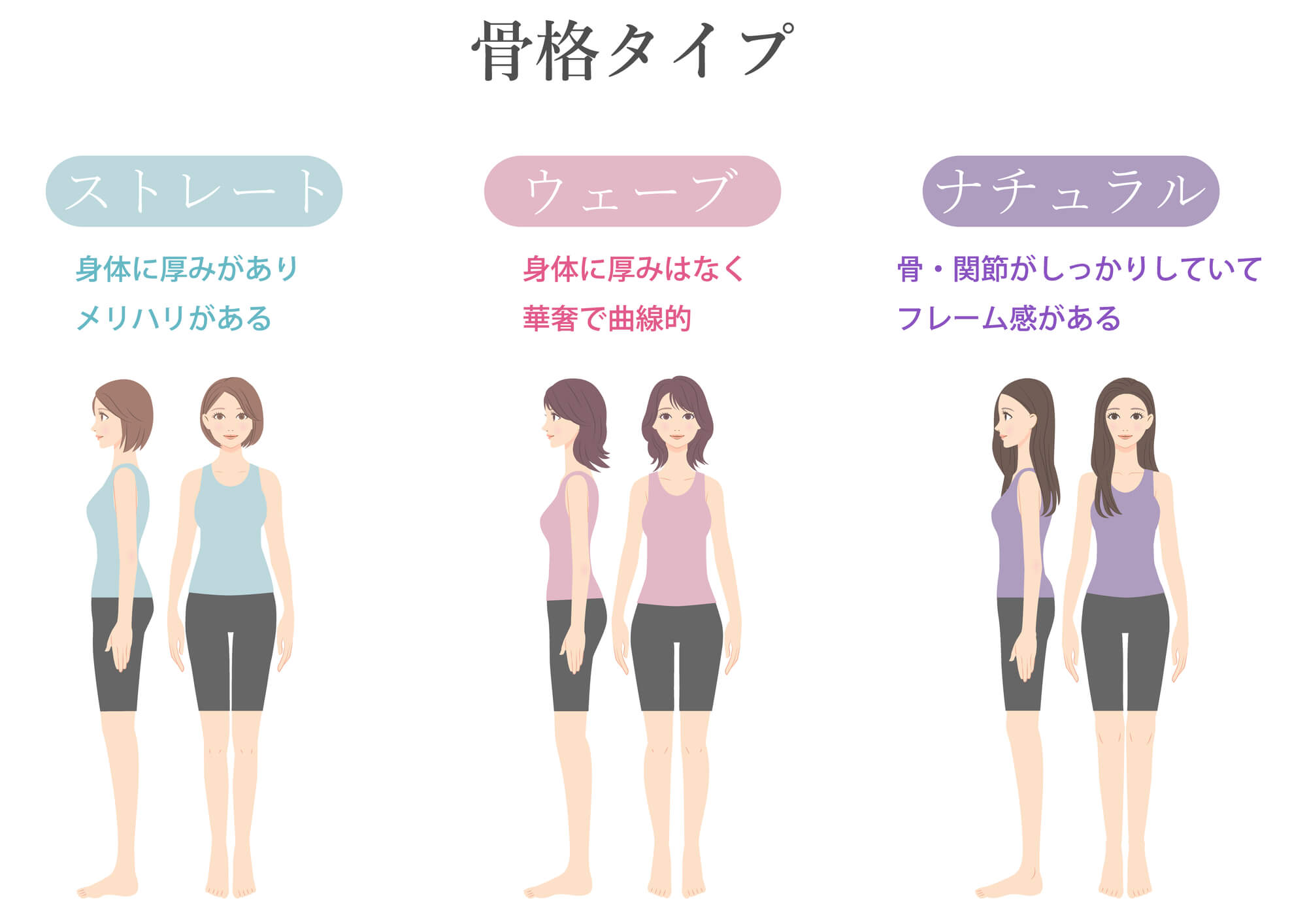 骨格タイプを紹介 骨格タイプを紹介