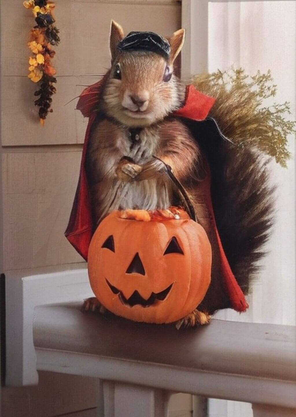 Immagini per Halloween Divertenti Immagini per Halloween Divertenti