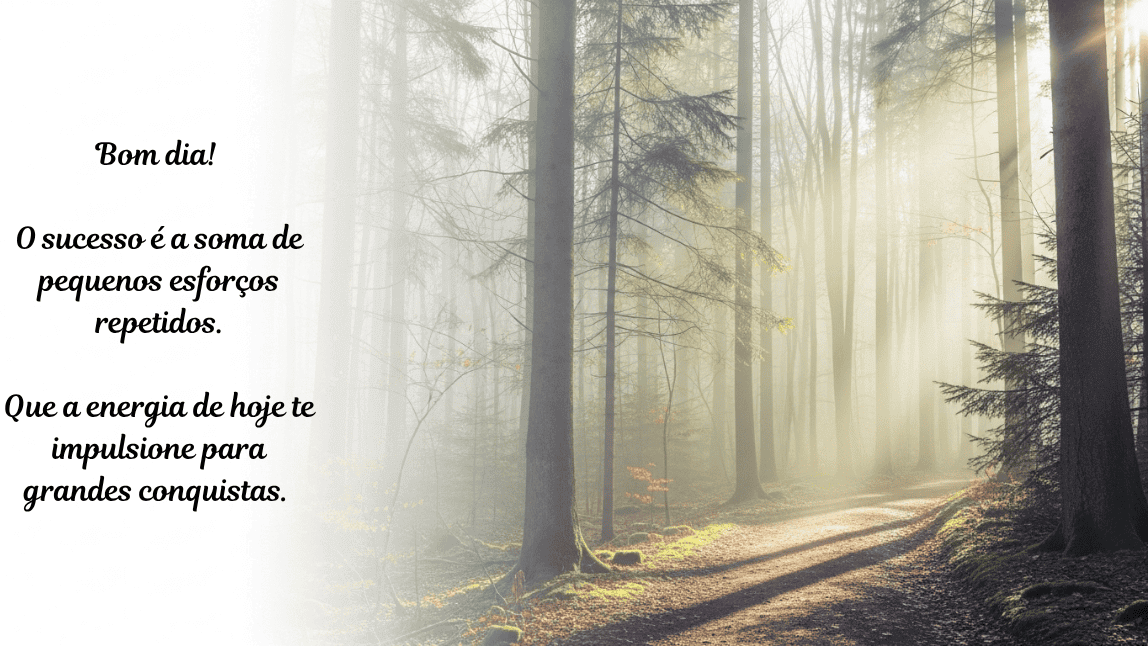Caminho em uma floresta com raios de sol passando por entre as árvores e a névoa. A mensagem de bom dia é: "O sucesso é a soma de pequenos esforços repetidos. Que a energia de hoje te impulsione para grandes conquistas."