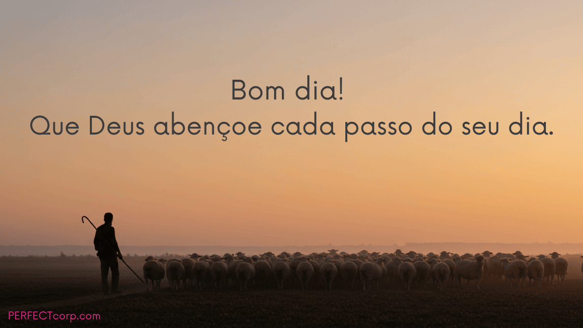 Um pastor guiando seu rebanho de ovelhas ao amanhecer. A mensagem religiosa de bom dia é: "Que Deus abençoe cada passo do seu dia."