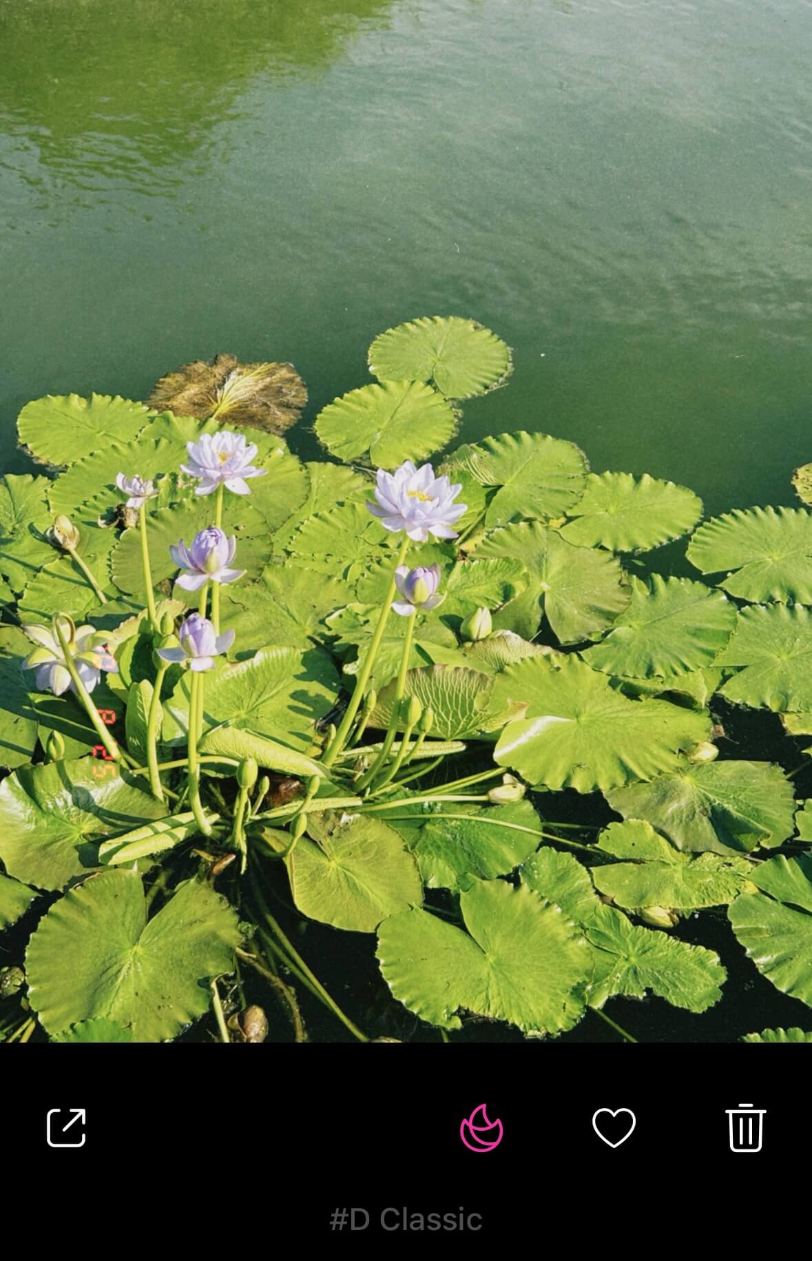 Dazzの操作画面 Dazzの操作画面