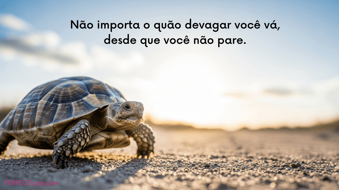 Tartaruga em uma estrada de terra ao pôr do sol, representando a frase motivacional sobre persistência: "Não importa o quão devagar você vá, desde que você não pare."