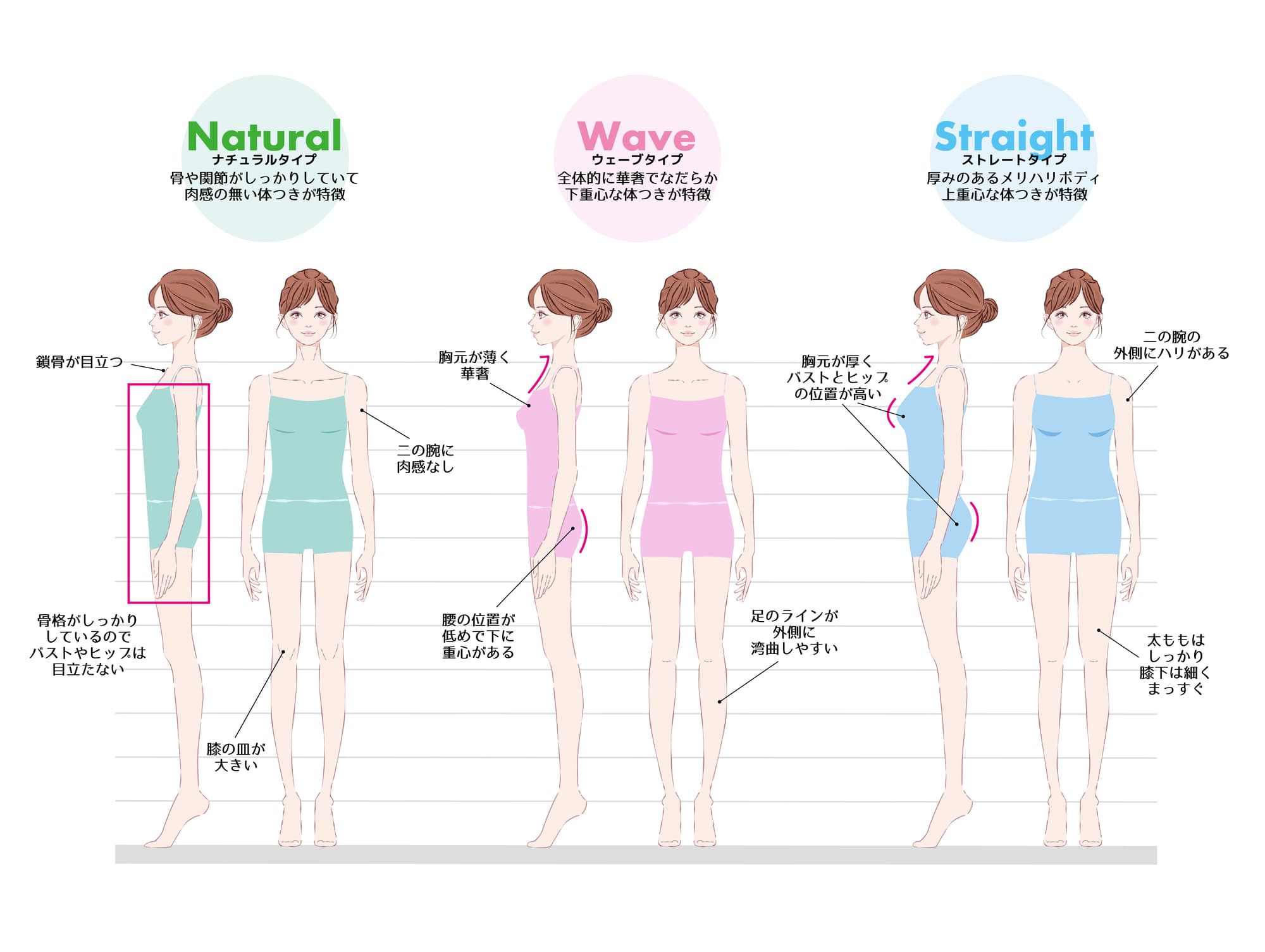 骨格タイプ診断画像 骨格タイプ診断画像