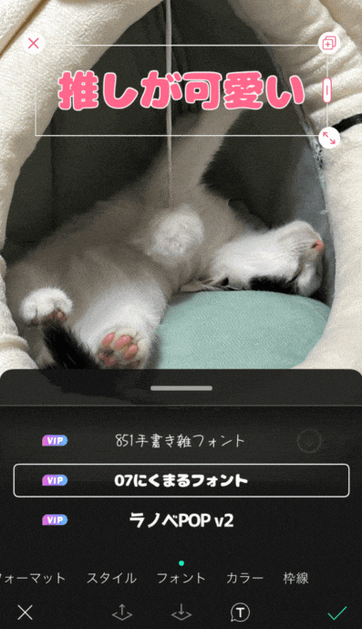 豊富なかわいい日本語フォント