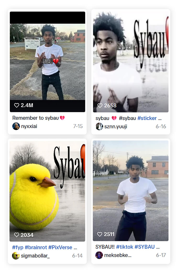 Sybau Meme on TikTok