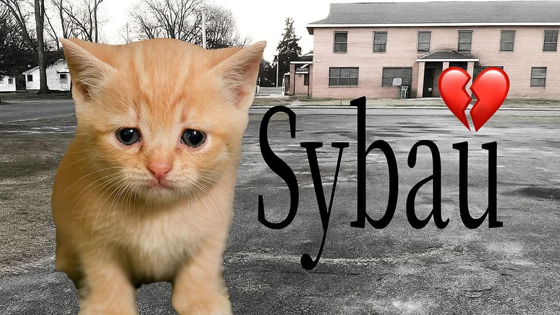 What Does SYBAU Mean and How To Make a SYBAU Picture