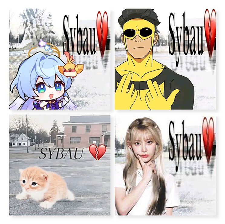 different kind of sybau meme