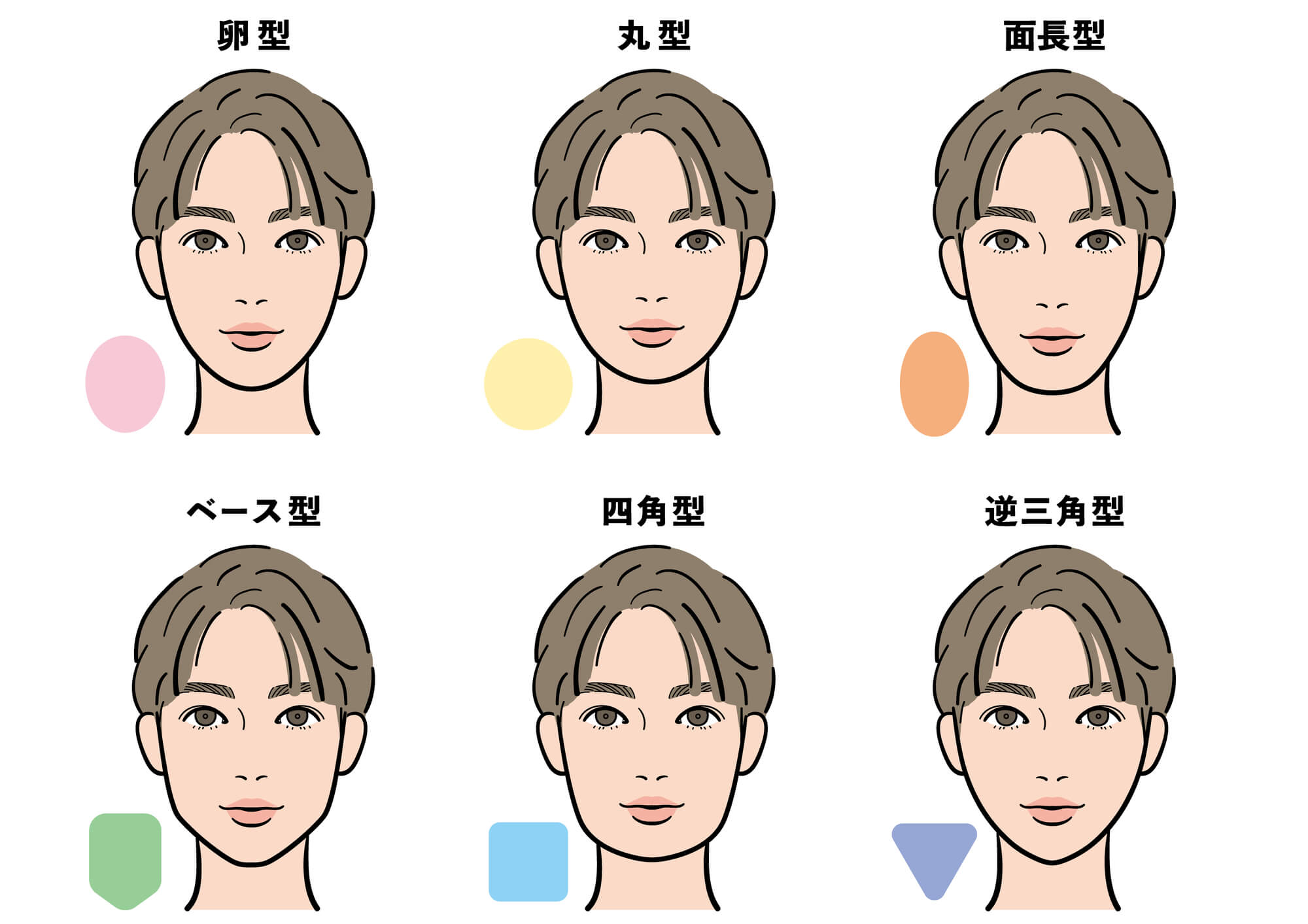 顔の形