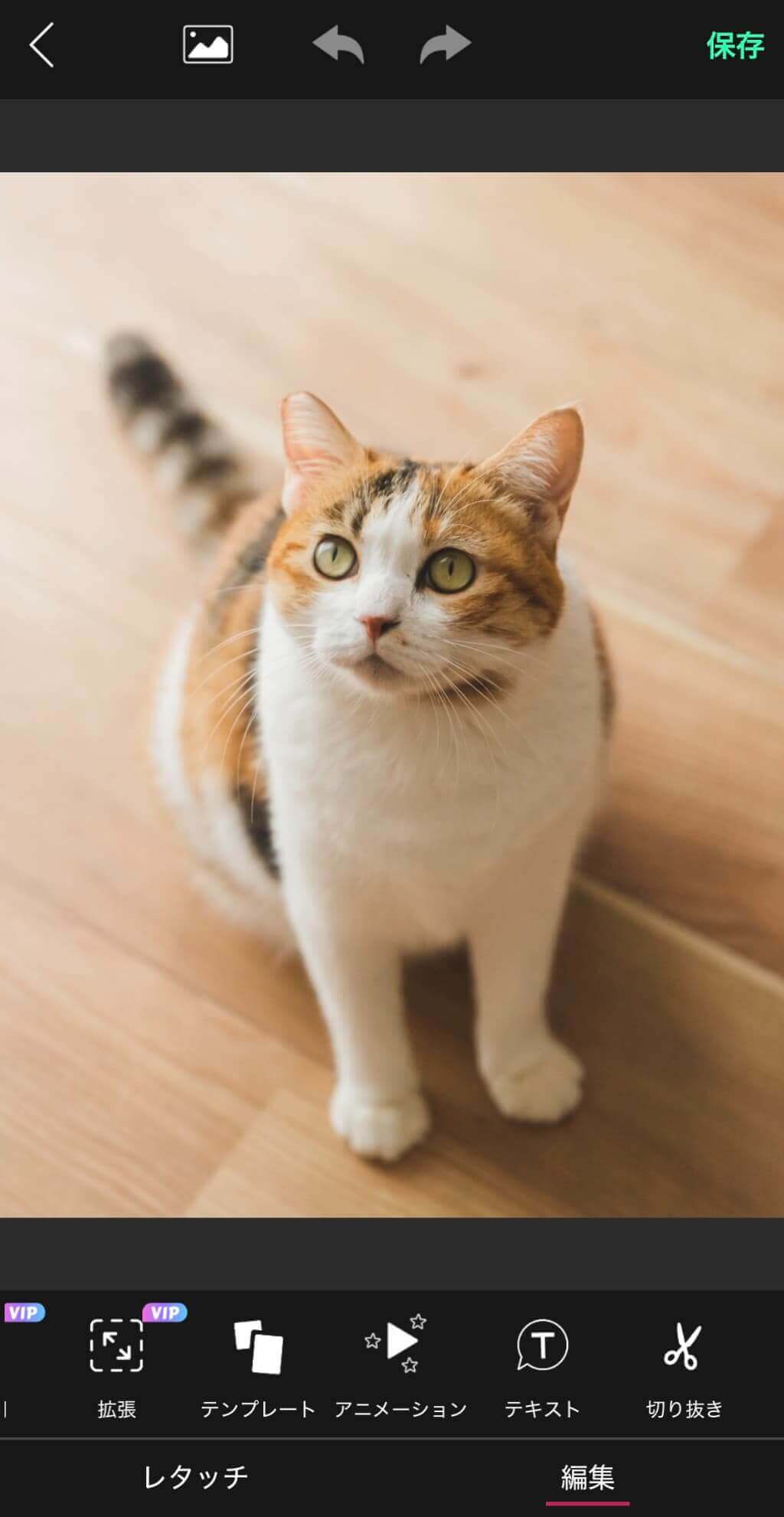 【アニメーション】を選択 【アニメーション】を選択