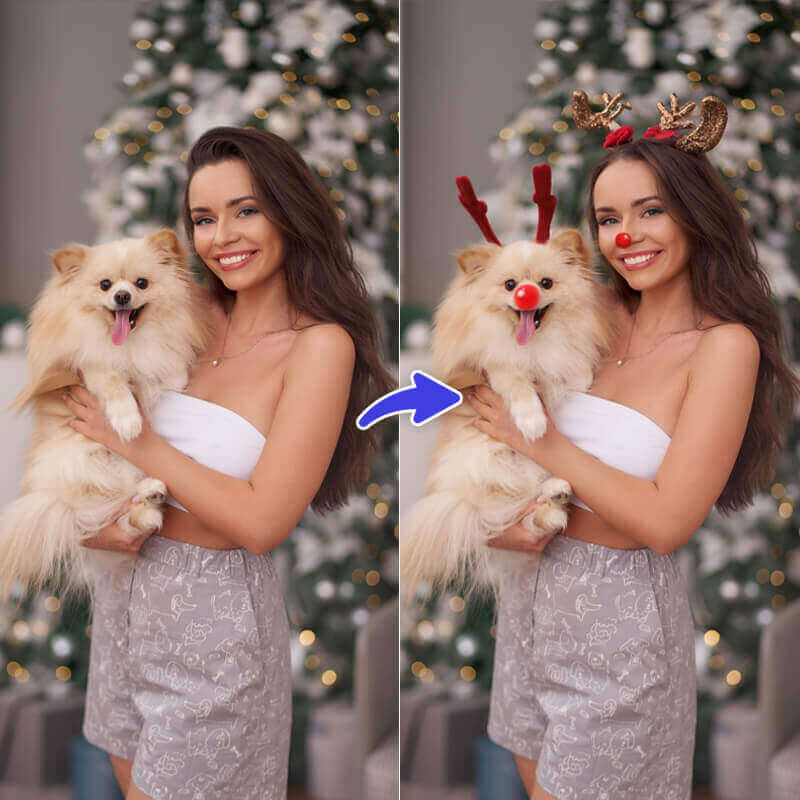 Montage photo renne de Noel