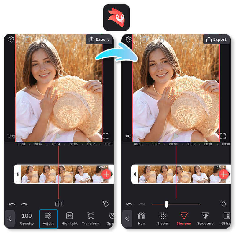 Unblur videos using the VideoLeap app