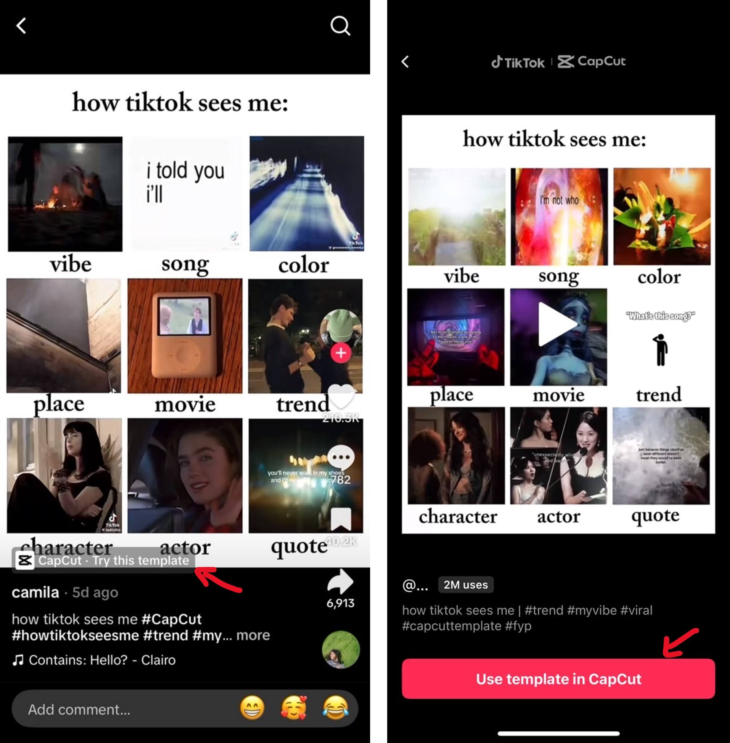 How TikTok Sees Me Trend