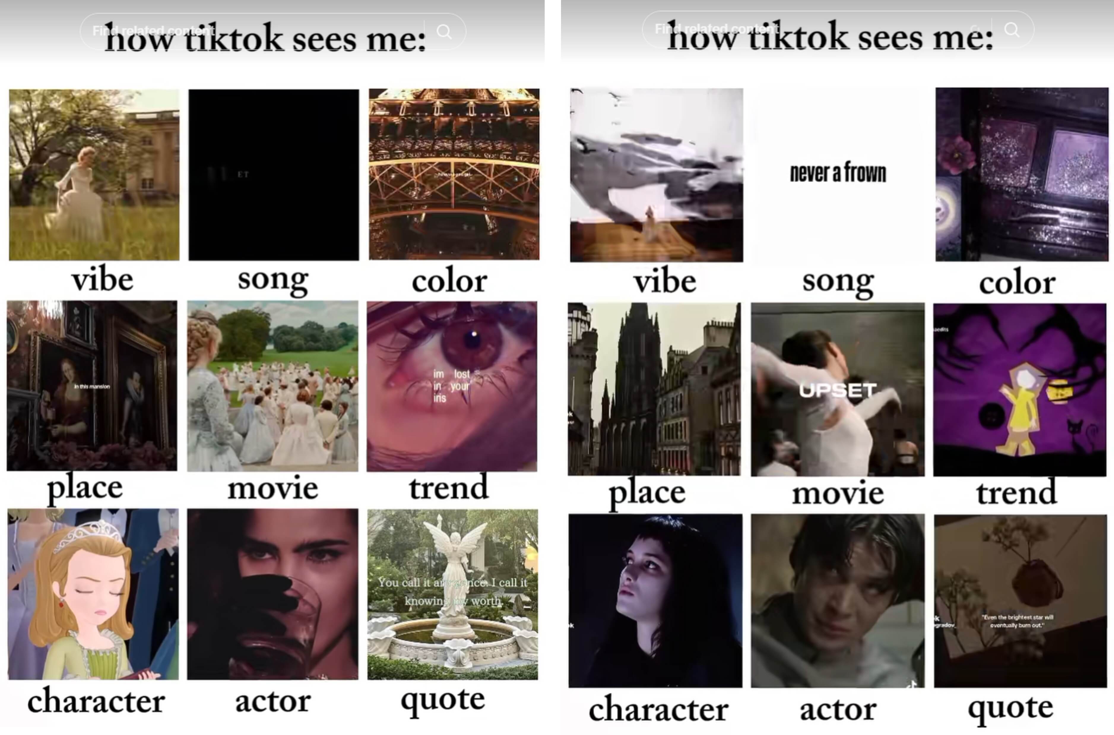 How TikTok Sees Me Trend