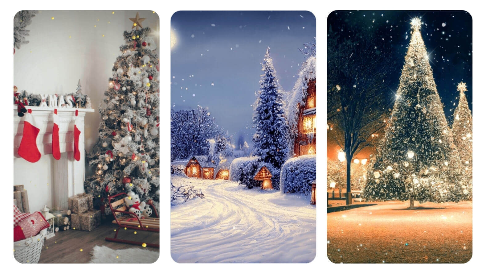 Adicione fundos de árvore de Natal em suas fotos Adicione fundos de árvore de Natal em suas fotos